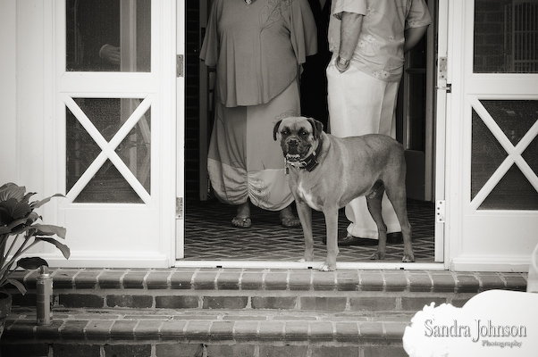 Best Annapolis Wedding Photos - Sandra Johnson (SJFoto.com)